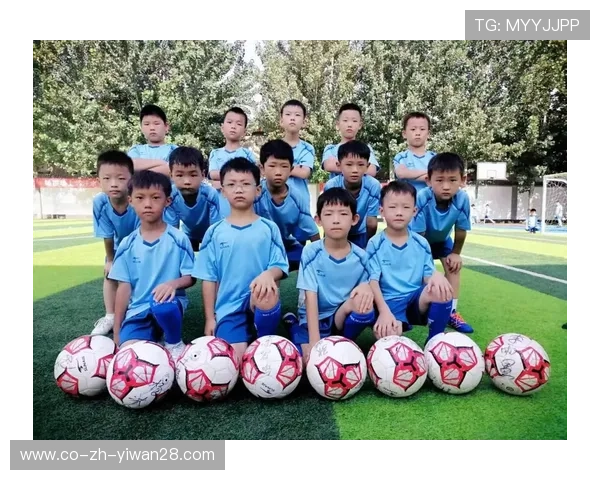 走进绿茵场：与世界级足球巨星畅谈梦想与挑战